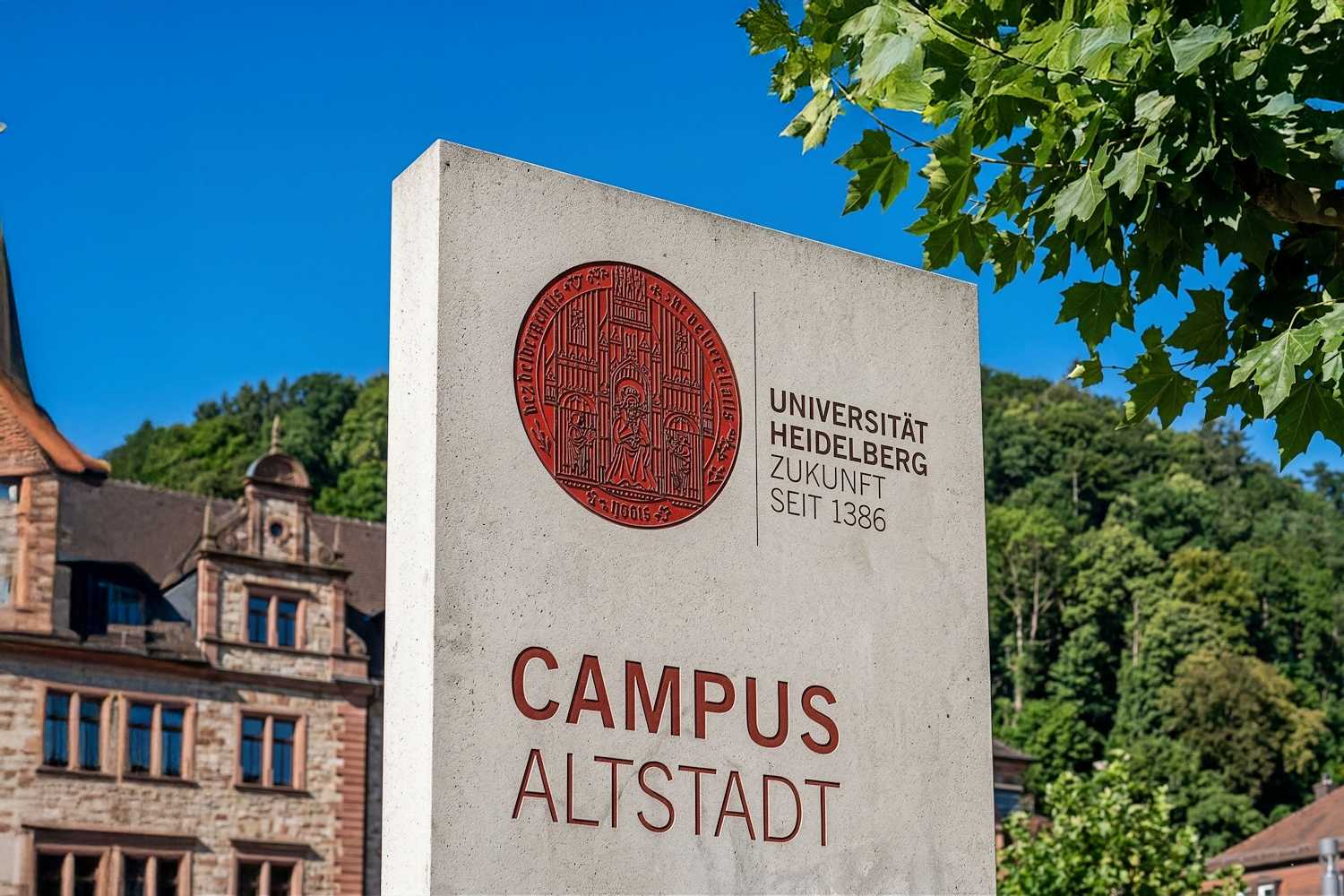 Telc C1 Hochschule Sınavı: Almanya'da Üniversite Okumak İsteyenler İçin Başarı Tüyoları